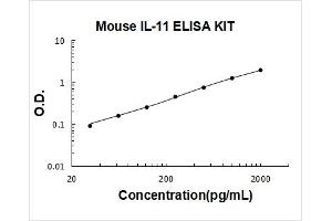 Mouse IL-11 PicoKine ELISA Kit standard curve