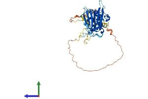 AlphaFold protein structure predicition of Mouse Recombinant Tmem183 Protein, UniprotID Q9JJB9 (TMEM183A Protein (AA 1-375) (His tag))