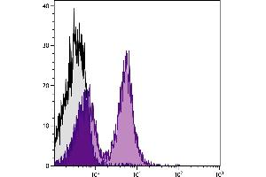 BALB/c mouse splenocytes were stained with Rat Anti-Mouse CD40-SPRD. (CD40 antibody  (SPRD))