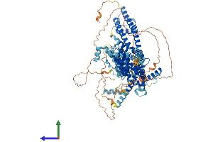 Protein Structure (PS) image for Transient Receptor Potential Cation Channel, Subfamily C, Member 4 (TRPC4) (AA 1-977) protein (His tag) (ABIN7555856)