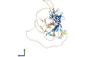 AlphaFold protein structure predicition of Human Recombinant JADE1 Protein, UniprotID Q6IE81 (PHF17 Protein (AA 1-842) (His tag))