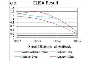 Black line: Control Antigen (100 ng), Purple line: Antigen(10 ng), Blue line: Antigen (50 ng), Red line: Antigen (100 ng), (IL3RA antibody  (AA 200-305))