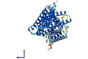 AlphaFold protein structure predicition of Mouse Recombinant Mboat4 Protein, UniprotID P0C7A3