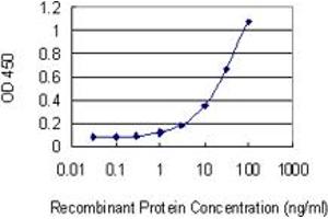 Detection limit for recombinant GST tagged HBA1 is 0. (HBA1 antibody  (AA 33-142))