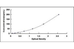 Typical standard curve (PRTN3 ELISA Kit)