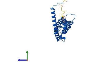 AlphaFold protein structure predicition of Human Recombinant PSME1 Protein, UniprotID Q06323