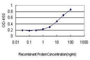Detection limit for recombinant GST tagged SMAD3 is approximately 1ng/ml as a capture antibody. (SMAD3 antibody  (AA 1-110))