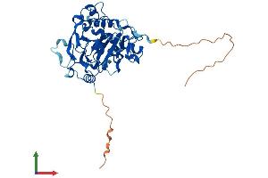AlphaFold protein structure predicition of Mouse Recombinant Alkbh1 Protein, UniprotID P0CB42