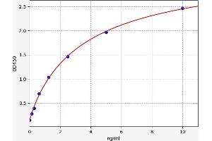 Typical standard curve (MYH10 ELISA Kit)