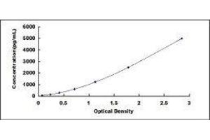 PTGS2 ELISA Kit