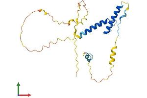 Protein Structure (PS) image for Heart and Neural Crest Derivatives Expressed 1 (HAND1) (AA 1-215) protein (His tag) (ABIN7548236)