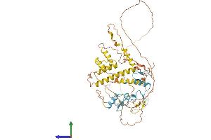AlphaFold protein structure predicition of Human Recombinant ZBTB2 Protein, UniprotID Q8N680