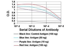 ELISA analysis of PLA2G12A monoclonal antibody, clone 3H2C11  at 1:10000 dilution. (PLA2G12A antibody  (AA 21-189))