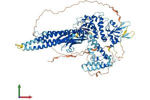 AlphaFold protein structure predicition of Human Recombinant STAT2 Protein, UniprotID P52630 (STAT2 Protein (AA 1-851) (His tag))