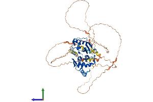 AlphaFold protein structure predicition of Mouse Recombinant Senp2 Protein, UniprotID Q91ZX6