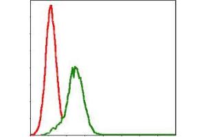 Flow cytometric analysis of Jurkat cells using GSTM1 mouse mAb (green) and negative control (red). (GSTM1 antibody)