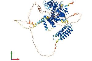 AlphaFold protein structure predicition of Mouse Recombinant Git2 Protein, UniprotID Q9JLQ2 (GIT2 Protein (AA 1-708) (His tag))