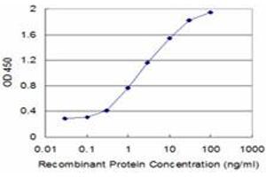 Detection limit for recombinant GST tagged ITGB6 is approximately 0. (ITGB6 antibody  (AA 604-707))