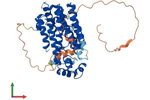 AlphaFold protein structure predicition of Human Recombinant PDSS1 Protein, UniprotID Q5T2R2 (PDSS1 Protein (AA 1-415) (His tag))