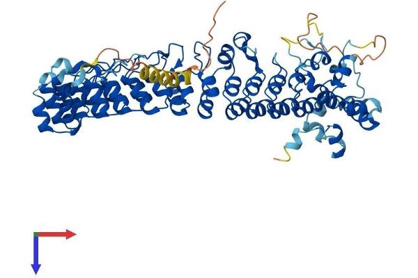 ASB15 Protein (AA 1-588) (His tag)