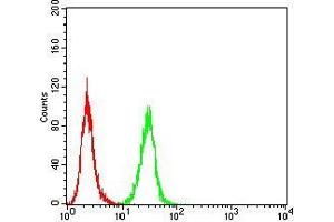 Flow Cytometry (FACS) image for anti-RAB8A, Member RAS Oncogene Family (RAB8A) (AA 68-207) antibody (ABIN5542342)