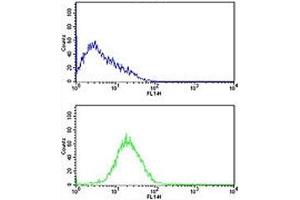 Caspase-2 antibody flow cytometric analysis of HL-60 cells (bottom histogram) compared to a negative control cell (top histogram). (Caspase 2 antibody  (AA 198-226))