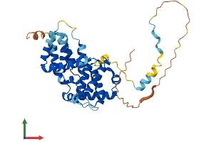 AlphaFold protein structure predicition of Mouse Recombinant Ccng2 Protein, UniprotID O08918