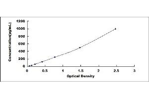 Typical standard curve (MSMB ELISA Kit)
