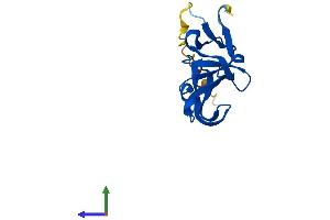 Protein Structure (PS) image for Yippee-Like 4 (YPEL4) (AA 1-127) protein (His tag) (ABIN7545513)