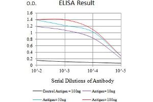 Black line: Control Antigen (100 ng),Purple line: Antigen (10 ng), Blue line: Antigen (50 ng), Red line:Antigen (100 ng) (P2RY2 antibody)
