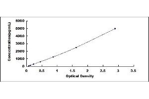 DPP7 ELISA Kit