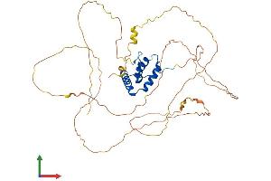 AlphaFold protein structure predicition of Mouse Recombinant Sox4 Protein, UniprotID Q06831 (SOX4 Protein (AA 1-440) (His tag))