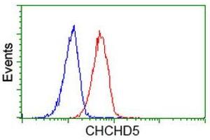 Image no. 3 for anti-Coiled-Coil-Helix-Coiled-Coil-Helix Domain Containing 5 (CHCHD5) antibody (ABIN1497488) (CHCHD5 antibody)