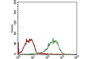 Flow cytometric analysis of MCF-7 cells using RELB mouse mAb (green) and negative control (red). (RELB antibody  (AA 273-443))