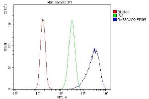 Flow Cytometry analysis of CACO-2 cells using anti-RAB3GAP2 antibody (ABIN6719633).