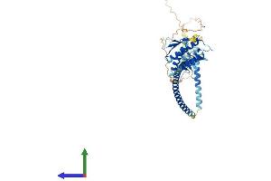 AlphaFold protein structure predicition of Mouse Recombinant Becn1 Protein, UniprotID O88597 (Beclin 1 Protein (AA 1-448) (His tag))