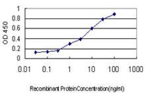 Detection limit for recombinant GST tagged USP5 is approximately 0. (USP5 antibody  (AA 71-180))