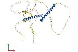 AlphaFold protein structure predicition of Human Recombinant OLIG2 Protein, UniprotID Q13516 (OLIG2 Protein (AA 1-323) (His tag))