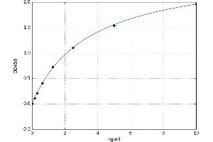 Dipeptidyl-Peptidase 3 (DPP3) ELISA Kit