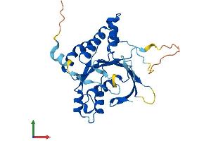Protein Structure (PS) image for X-Ray Repair Complementing Defective Repair in Chinese Hamster Cells 2 (XRCC2) (AA 1-280) protein (His tag) (ABIN7545207)