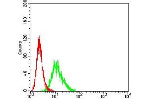 Flow cytometric analysis of K562 cells using CD193 mouse mAb (green) and negative control (red). (CCR3 antibody)