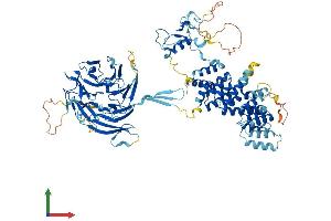 AlphaFold protein structure predicition of Mouse Recombinant Mios Protein, UniprotID Q8VE19