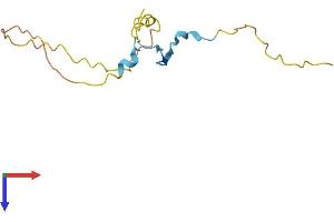 AlphaFold protein structure predicition of Mouse Recombinant Prr15 Protein, UniprotID Q9D1T5 (Proline Rich 15 Protein (PRR15) (AA 1-122) (His tag))