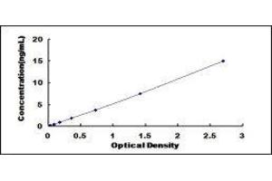S100 Calcium Binding Protein A7 (S100A7) ELISA Kit