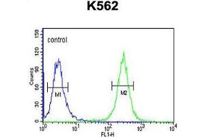 ACSM1 Antibody (N-term) flow cytometric analysis of K562 cells (right histogram) compared to a negative control cell (left histogram).