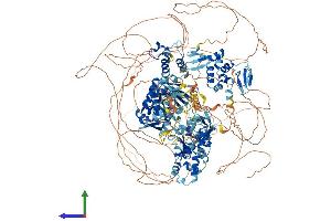 AlphaFold protein structure predicition of Human Recombinant HECW2 Protein, UniprotID Q9P2P5