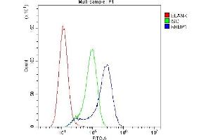 Flow Cytometry analysis of A549 cells using anti-RRBP1 antibody (ABIN6719628). (RRBP1 antibody)