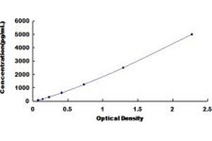 Typical standard curve (S100A8 ELISA Kit)