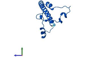 AlphaFold protein structure predicition of Human Recombinant RPL13AP3 Protein, UniprotID Q6NVV1 (RPL13AP3 Protein (AA 1-102) (His tag))