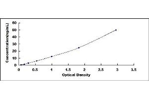 Typical standard curve (Laminin beta 3 ELISA Kit)